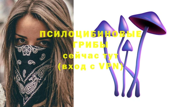 бутират Верея